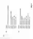 Fig. 05 - Optimization of network data transfers over a wide area network