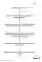 Fig. 03 - Passive based security escalation to shut off of application based on rules event triggering