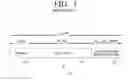 Fig. 02 - Data structure for physical layer encapsulation
