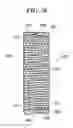 Fig. 27 - Image pickup apparatus with forced air-cooling structure