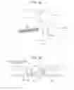 Fig. 04 - Light-guide member, illumination device, and image reading apparatus using a line-sequental method to illuminate a document for reading