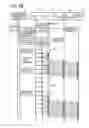 Fig. 08 - Adjusting image data using divided areas