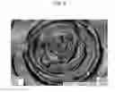 Fig. 07 - Medical imaging processing apparatus for a virtual endoscope image