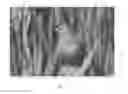 Fig. 05 - METHOD AND DEVICE FOR GENERATING DEPTH MAP