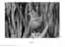 Fig. 07 - METHOD AND DEVICE FOR GENERATING DEPTH MAP