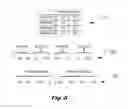 Fig. 06 - Method and apparatus for entropy coding in image compression