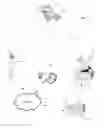 Fig. 01 - Network address translator (NAT) traversal for out of home streaming