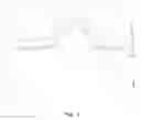 Fig. 02 - Loudspeaker diaphragm