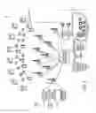 Fig. 04 - Method and apparatus for efficient and deterministic group alerting