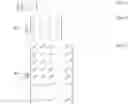 Fig. 05 - Uplink data transmission method in wireless communication system and apparatus for the same
