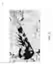 Fig. 25 - Server participation in avoidance of interference in wireless communications