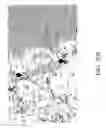 Fig. 32 - Server participation in avoidance of interference in wireless communications