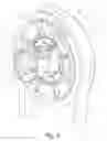 Fig. 06 - Baler stuffer selectively operable to provide partial stuffing strokes