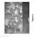 Fig. 04 - System and ultrahigh pressure extrusion method for making extruded granular sorbent with post-extrusion cold-processing of extruded granular absorbent for size control