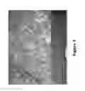Fig. 05 - System and ultrahigh pressure extrusion method for making extruded granular sorbent with post-extrusion cold-processing of extruded granular absorbent for size control