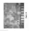 Fig. 19 - System and ultrahigh pressure extrusion method for making extruded granular sorbent with post-extrusion cold-processing of extruded granular absorbent for size control
