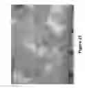 Fig. 22 - System and ultrahigh pressure extrusion method for making extruded granular sorbent with post-extrusion cold-processing of extruded granular absorbent for size control