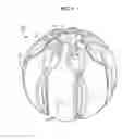 Fig. 02 - Systems and methods for a light-up object with enhanced features for animals