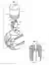 Fig. 04 - Systems and methods for a light-up object with enhanced features for animals