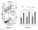 Fig. 03 - ANIMAL MODEL FOR STUDYING COMPLEX HUMAN DISEASES