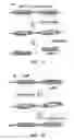 Fig. 09 - ANIMAL MODEL FOR STUDYING COMPLEX HUMAN DISEASES