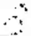 Fig. 02 - GENE EXPRESSION SYSTEM