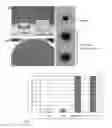 Fig. 04 - Compositions and methods for controlling plant-parasite nematode