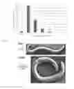 Fig. 05 - Compositions and methods for controlling plant-parasite nematode