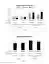 Fig. 07 - SUGAR-PRODUCING AND TEXTURE-IMPROVING BAKERY METHODS AND PRODUCTS FORMED THEREFROM