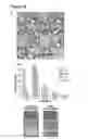 Fig. 06 - STABLE EMULSIONS FROM DIPEPTIDE DERIVATIVES