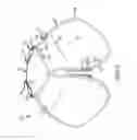 Fig. 03 - Garment configured for protecting wearer's legs
