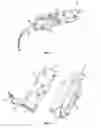 Fig. 02 - Head garment for privacy