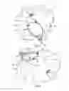Fig. 04 - Head garment for privacy