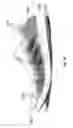 Fig. 48 - Method for patch placement and articles produced