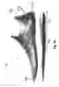 Fig. 49 - Method for patch placement and articles produced