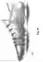 Fig. 65 - Method for patch placement and articles produced