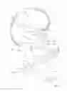 Fig. 03 - Adjustable belt