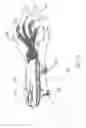 Fig. 02 - Personal Carrier