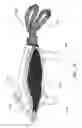 Fig. 03 - Personal Carrier