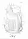 Fig. 02 - Hot liquid safety pitcher