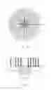 Fig. 02 - Body care brush