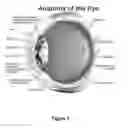 Fig. 02 - METHOD OF PRESCRIBING/MAKING EYEWEAR FOR AN INDIVIDUAL
