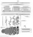 Fig. 02 - Linear velocity imaging tomography