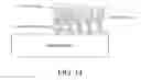 Fig. 20 - BIOINTERFACE LAYER FOR ANALYTE SENSORS