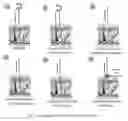 Fig. 03 - Method for Extracting Fluids from Tissue and Uses Thereof