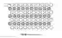 Fig. 19 - System for screening and diagnosis of diabetes