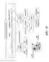Fig. 15 - Enzyme immobilized adhesive layer for analyte sensors