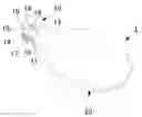 Fig. 01 - Medical needle and puncture tool