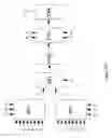 Fig. 13 - SYSTEMS, METHODS, AND DEVICES USING STRETCHABLE OR FLEXIBLE ELECTRONICS FOR MEDICAL APPLICATIONS
