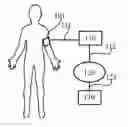 Fig. 01 - Optimized biological measurement